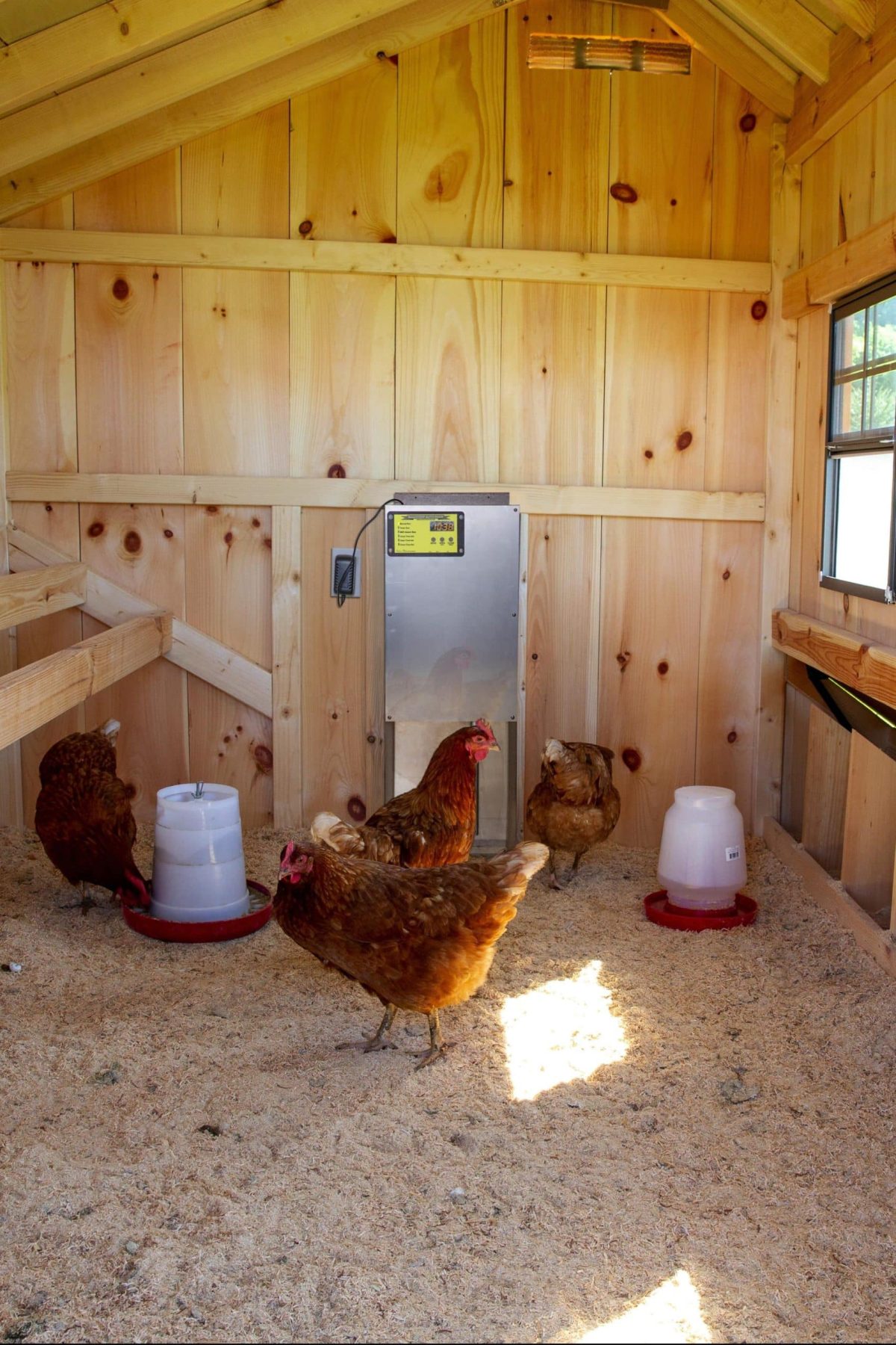 Automatic Chicken Coop Door