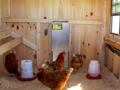 Automatic Chicken Coop Door