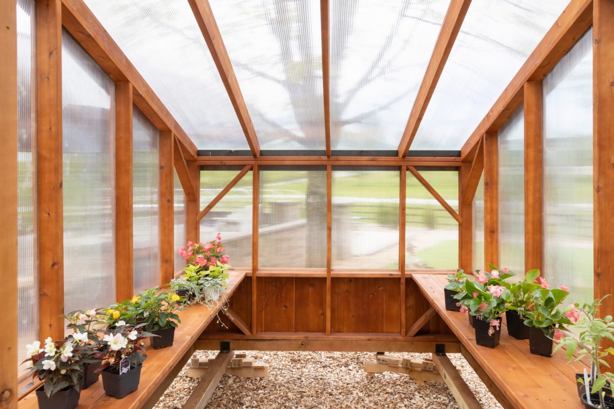 Cedar Pergola Greenhouse